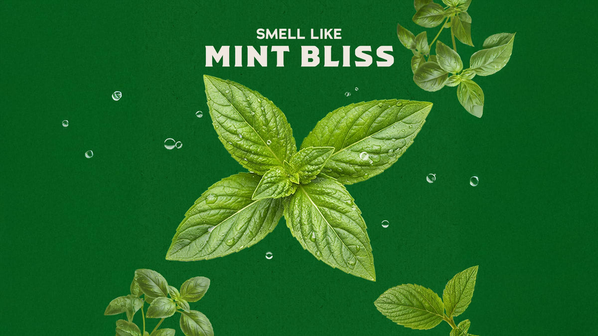 Premium Spearmint Basil